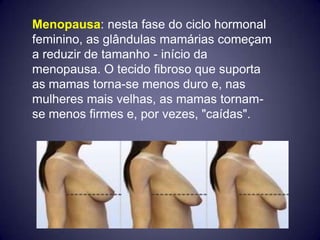 Menopausa: nesta fase do ciclo hormonal
feminino, as glândulas mamárias começam
a reduzir de tamanho - início da
menopausa. O tecido fibroso que suporta
as mamas torna-se menos duro e, nas
mulheres mais velhas, as mamas tornam-
se menos firmes e, por vezes, "caídas".
 