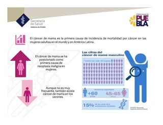 El cáncer de mama se ha
posicionado como
primera causa de
neoplasia maligna en
mujeres.
Aunque no es muy
frecuente, también existe
cáncer de mama en los
varones.
El cáncer de mama es la primera causa de incidencia de mortalidad por cáncer en las
mujeres adultas en el mundo y en América Latina.
 