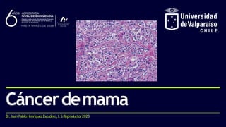 Dr.Juan PabloHenríquezEscudero,I. S.Reproductor2023
Cáncerdemama
 