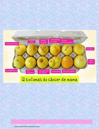 Fonte: www.mulherconsciente.com.br
 