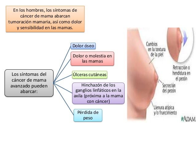 Alimentos para bajar de peso sin perder masa muscular tiene ningn manual Nico accesorio alimentos para bajar de peso sin perder masa muscular precios