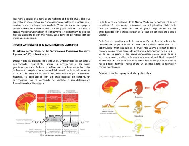 Cancer De Mama Libro Dr Hamer 1 Ed