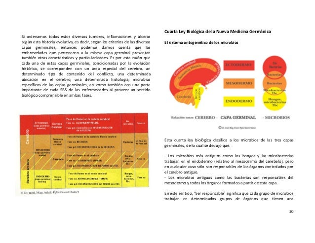 Cancer De Mama Libro Dr Hamer 1 Ed