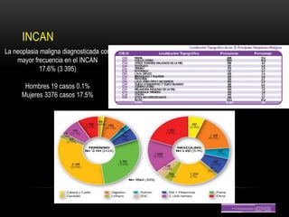 INCAN
La neoplasia maligna diagnosticada con
    mayor frecuencia en el INCAN
            17.6% (3 395)

       Hombres 19 casos 0.1%
      Mujeres 3376 casos 17.5%
 