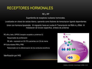 RECEPTORES HORMONALES
                                                      RE y RP
                               Superfamilia de receptores nucleares hormonales.
 Localizados en citosol de celulas blanco, operando como factores de transcripcion ligando dependientes
    Union con hormona liposoluble  migración hacia en nucleo Transcripción de RNA m y RNAr 
                           modulación de función específica, sintesis de proteinas


RE alfa y beta, GPR30 (receptor acoplado a proteinas G)
    Responsable de proliferación
    RE alfa – expresión en 50-75% pacientes con CA de mama
RP Subunidades PRA y PRB
    Relacionado con la diferenciacion de los conductos lactoforos



Idenficación por IHQ



                                                                            Ceballos y Hernández, Cancerología 3 (2008): 41-49
 