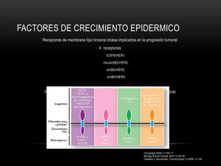 FACTORES DE CRECIMIENTO EPIDERMICO
     Receptores de membrana tipo tirosina cinasa implicados en la progresión tumoral
                                      4 receptores
                                          EGFR/HER1
                                        neu/erbB2/HER2,
                                          erbB3/HER3
                                          erbB4/HER4



      HER1 y HER2 se sobre-expresan en estadios tempranos del desarrollo tumoral




                                                                Oncologist 2006;11:704-17
                                                                Biology Breast Cancer 2007;13:30-39
                                                                Ceballos y Hernández, Cancerología 3 (2008): 41-49
 