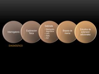 Gabinete
                               • Mastografia                Estudios de
                 Exploracion     diagnóstica   Biopsia de
Interrogatorio                                               extension
                    fisica     • USG             mama
                               • RMN
                                                            adicionales
                               • PET



 DIAGNÓSTICO
 