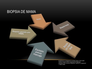 BIOPSIA DE MAMA




                  Guidelines for management of breast cancer. WHO 2006.
                  Trends in breast cancer screening and diagnosis
                  Cleveland Clinic Journal of Medicine, Volume 75, Suplement
                  1, March 2008.
 