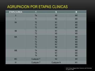 AGRUPACION POR ETAPAS CLINICAS
ETAPA CLINICA       T             N                           M
      0             Tis           N0                         M0
      I             T1            N0                         M0
     IIA            T0            N1                         M0
                    T1            N1                         M0
                    T2            N0                         M0
     IIB            T2            N1                         M0
                    T3            N0                         M0
     IIIA           T0            N2                         M0
                    T1            N2                         M0
                    T2            N2                         M0
                    T3            N1                         M0
                    T3            N2                         M0
     IIIB           T4            N0                         M0
                    T4            N1                         M0
                    T4            N2                         M0
     IIIC       Cualquier T       N3                         M0
     IV         Cualquier T   Cualquier N                    M1

                                            AJCC Cancer Staging Atlas. American Joint Commitee
                                            on Cancer, 2006.
 