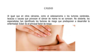 CAUSAS
Al igual que en otros cánceres, como el osteosarcoma o los tumores cerebrales,
lacausa o causas que provocan el cáncer de mama no se conocen. No obstante, los
especialistas han identificado los factores de riesgo que predisponen a desarrollar la
enfermedad: Edad: Es el principal factor de riesgo.
 