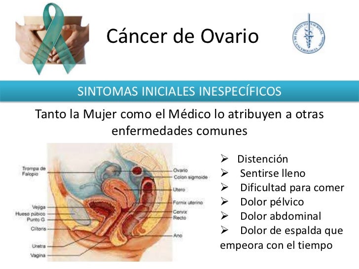 El dolor salvaje en el hombro y el cuello