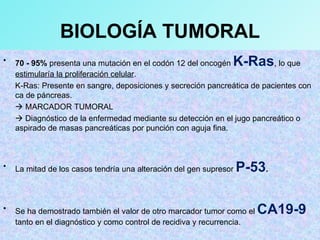 BIOLOGÍA TUMORAL
• 70 - 95% presenta una mutación en el codón 12 del oncogén K-Ras, lo que
estimularía la proliferación celular.
K-Ras: Presente en sangre, deposiciones y secreción pancreática de pacientes con
ca de páncreas.
 MARCADOR TUMORAL
 Diagnóstico de la enfermedad mediante su detección en el jugo pancreático o
aspirado de masas pancreáticas por punción con aguja fina.
• La mitad de los casos tendría una alteración del gen supresor P-53.
• Se ha demostrado también el valor de otro marcador tumor como el CA19-9
tanto en el diagnóstico y como control de recidiva y recurrencia.
 