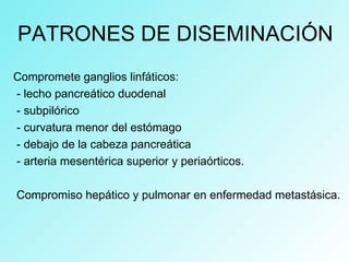PATRONES DE DISEMINACIÓN
Compromete ganglios linfáticos:
- lecho pancreático duodenal
- subpilórico
- curvatura menor del estómago
- debajo de la cabeza pancreática
- arteria mesentérica superior y periaórticos.
Compromiso hepático y pulmonar en enfermedad metastásica.
 