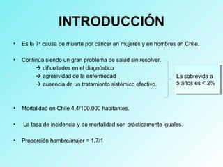 INTRODUCCIÓN
• Es la 7a
causa de muerte por cáncer en mujeres y en hombres en Chile.
• Continúa siendo un gran problema de salud sin resolver.
 dificultades en el diagnóstico
 agresividad de la enfermedad
 ausencia de un tratamiento sistémico efectivo.
• Mortalidad en Chile 4,4/100.000 habitantes.
• La tasa de incidencia y de mortalidad son prácticamente iguales.
• Proporción hombre/mujer = 1,7/1
La sobrevida a
5 años es < 2%
 