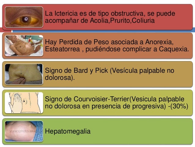 Que frutas comer para quemar grasa abdominal image 3