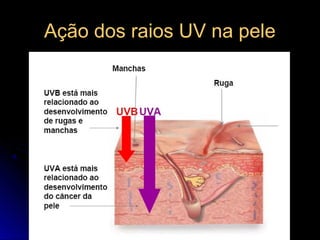 Ação dos raios UV na peleAção dos raios UV na pele
 