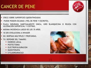 15
• CRECE SOBRE SUPERFICIES QUERATINIZADAS
• PUEDE POSEER ESCAMAS ( PIEL DE PENE Y ESCROTO).
• PLACA INDURADA HABITUALMENTE ÚNICA, GRIS BLANQUECINA O ROJIZA CON
ULCERACIÓN SUPERFICIAL Y COSTRAS.
• MÁXIMA INCIDENCIA LUEGO DE LOS 35 AÑOS
• 10 20% EVOLUCIONA A INVASOR
• DX: BIOPSIAS MÚLTIPLES Y PROFUNDAS.
• TX: DEPENDE DEL TAMAÑO:
• EXERESIS LOCAL
• POSTECTOMIA
• ELECTROFULGURACION
• RADIOTERAPIA
• 5 FLUOROURACILO
CANCER DE PENE
 