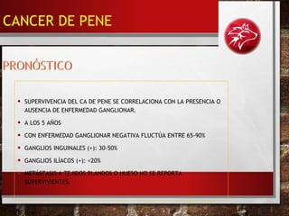 • SUPERVIVENCIA DEL CA DE PENE SE CORRELACIONA CON LA PRESENCIA O
AUSENCIA DE ENFERMEDAD GANGLIONAR.
• A LOS 5 AÑOS
• CON ENFERMEDAD GANGLIONAR NEGATIVA FLUCTÚA ENTRE 65-90%
• GANGLIOS INGUINALES (+): 30-50%
• GANGLIOS ILÍACOS (+): <20%
• METÁSTASIS A TEJIDOS BLANDOS O HUESO NO SE REPORTA
SUPERVIVIENTES.
CANCER DE PENE
 
