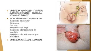  CARCINOMA VERRUGOSO - TUMOR DE
BUSCHKE-LÖWENSTEIN - CONDILOMA
ACUMINADO GIGANTE
 PROCESOS MALIGNOS NO ESCAMOSOS
-Carcinoma basocelular
-Melanoma
-Sarcoma
-Enfermedad de Paget
-Carcinoma adenoescamoso de
superficie
-Neoplasia linforreticular maligna
-Metástasis
 CARCINOMA DE CÉLULAS ESCAMOSAS
 