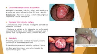  Carcinoma adenoescamoso de superficie
Masa exofítica grande (5-9 cm), firme, blancogrisácea y
granular que afecta a la parte distal del pene y glande.
Tratamiento Resección local y vaciamiento ganglionar
regional en caso de adenopatías
 Neoplasia linforreticular maligna
-Casi nunca de origen primario en el pene. Derivado de
leucemias y linfomas
-Priapismo y obliga a la búsqueda de enfermedad
sistémica. Se trata de forma sistémica, adecuada para el
control local y que preserve forma y función del pene.
 Metástasis
Priapismo, inflamación, nódulo o ulceración peneana.
Son reflejo de enfermedad avanzada
Tratamiento es puramente paliativo mediante control
del dolor y penectomía en casos seleccionados. La
supervivencia aprox. 1 año
 