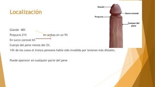 Localización
Glande 48%
Prepucio 21% en ambas en un 9%
En surco coronal 6%
Cuerpo del pene menos del 2%.
14% de los casos el tronco peneano había sido invadido por lesiones más distales.
Puede aparecer en cualquier parte del pene
 