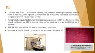 Dx
 EXPLORACIÓN FÍSICA. Localización, tamaño, dm, número, morfología (papilar, nodular,
plana o ulcerada),color, fijación y compromiso de estructuras adyacentes (submucosa,
cuerpos cavernosos o esponjoso y uretra).
 Tomografía Computarizada Buscar adenopatías (se presenta en 50% px, de ellos la mitad
tendrá metástasis de CCE y la otra mitad serán reactivos a tx de antibiótico por 6
semanas)
 BIOPSIA. Hay queratinización, perlas epiteliales y diferentes
 grados de actividad mitótica que marcan los grados de diferenciación
 