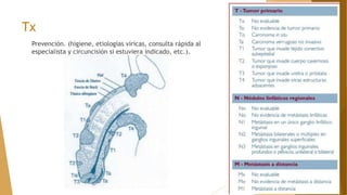 Tx
Prevención. (higiene, etiologías víricas, consulta rápida al
especialista y circuncisión si estuviera indicado, etc.).
 