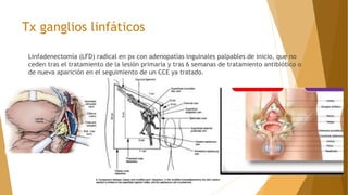 Tx ganglios linfáticos
Linfadenectomía (LFD) radical en px con adenopatías inguinales palpables de inicio, que no
ceden tras el tratamiento de la lesión primaria y tras 6 semanas de tratamiento antibiótico o
de nueva aparición en el seguimiento de un CCE ya tratado.
 