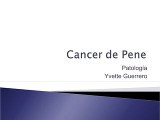 Patología
Yvette Guerrero
 