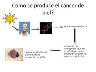 Como se produce el cáncer de piel? Mutaciones Genéticas Activación de Oncogenes (que en su estado normal se encargan de dirigir los procesos celulares) No hay regulación del ciclo celular, ni reparación de ADN 