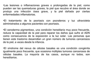 •Las lesiones o inflamaciones graves o prolongadas de la piel, como
pueden ser las quemaduras graves, la piel que recubre el área donde se
produjo una infección ósea grave, y la piel dañada por ciertas
enfermedades inflamatorias.
•El tratamiento de la psoriasis con psoralenos y luz ultravioleta
administrados a algunos pacientes con psoriasis.
•El xeroderma pigmentoso, una condición hereditaria muy poco frecuente,
reduce la capacidad de la piel para reparar los daños que sufre el ADN
como consecuencia de la exposición a la luz solar. Las personas que
tienen este trastorno desarrollan un gran número de tumores cancerosos
de la piel, a veces desde la infancia.
•El síndrome del nevus de células basales es una condición congénita
igualmente poco frecuente, que ocasiona múltiples tumores cancerosos de
células basales. La mayoría de los casos, aunque no todos, son
hereditarios.

 