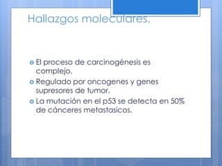 Hallazgos moleculares.


 Elproceso de carcinogénesis es
  complejo.
 Regulado por oncogenes y genes
  supresores de tumor.
 La mutación en el p53 se detecta en 50%
  de cánceres metastasicos.
 