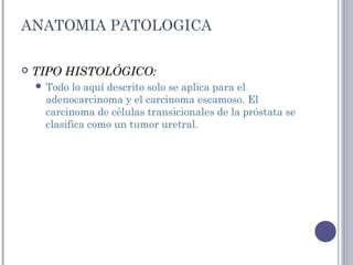 ANATOMIA PATOLOGICA
 TIPO HISTOLÓGICO:
 Todo lo aquí descrito solo se aplica para el
adenocarcinoma y el carcinoma escamoso. El
carcinoma de células transicionales de la próstata se
clasifica como un tumor uretral.
 