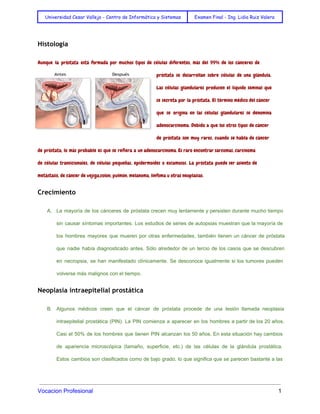  
Universidad Cesar Vallejo - Centro de Informática y Sistemas Examen Final - Ing. Lidia Ruiz Valera
 
Histología
Aunque la próstata está formada por muchos tipos de células diferentes, más del 99% de los cánceres de
próstata se desarrollan sobre células de una glándula.
Las células glandulares producen el líquido seminal que
se secreta por la próstata. El término médico del cáncer
que se origina en las células glandulares se denomina
adenocarcinoma. Debido a que los otros tipos de cáncer
de próstata son muy raros, cuando se habla de cáncer
de próstata, lo más probable es que se refiera a un adenocarcinoma. Es raro encontrar sarcomas, carcinoma
de células transicionales, de células pequeñas, epidermoides o escamosos. La próstata puede ser asiento de
metástasis, de cáncer de vejiga,colon, pulmón, melanoma, linfoma u otras neoplasias.
Crecimiento
A. La mayoría de los cánceres de próstata crecen muy lentamente y persisten durante mucho tiempo
                             
sin causar síntomas importantes. Los estudios de series de autopsias muestran que la mayoría de
                             
los hombres mayores que mueren por otras enfermedades, también tienen un cáncer de próstata
                           
que nadie había diagnosticado antes. Sólo alrededor de un tercio de los casos que se descubren
                               
en necropsia, se han manifestado clínicamente. Se desconoce igualmente si los tumores pueden
                         
volverse más malignos con el tiempo. 
Neoplasia intraepitelial prostática
B. Algunos médicos creen que el cáncer de próstata procede de una lesión llamada neoplasia
                           
intraepitelial prostática (PIN). La PIN comienza a aparecer en los hombres a partir de los 20 años.
                                 
Casi el 50% de los hombres que tienen PIN alcanzan los 50 años. En esta situación hay cambios
                                   
de apariencia microscópica (tamaño, superficie, etc.) de las células de la glándula prostática.
                         
Estos cambios son clasificados como de bajo grado, lo que significa que se parecen bastante a las
                                 
Vocacion Profesional          1 
 