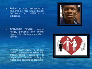  RAZA: es más frecuente en 
hombres de raza negra. Menos 
frecuente en asiáticos e 
indígenas. 
 ACTIVIDAD SEXUAL: menor 
riesgo, personas con menor 
número de relaciones sexuales o 
célibes. 
 OTROS FACTORES: no se han 
podido directamente relacionar: 
enfermedades sexuales de 
origen viral, la vasectomía y la 
hiperplasia benigna de próstata. 
 