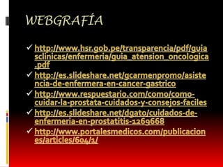 WEBGRAFÍA 
