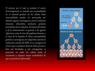 El proceso por el cual se produce el cáncer 
(Carcinogénesis) es causado por anormalidades 
en el material genético de las células. Estas 
anormalidades pueden ser provocadas por 
distintos agentes carcinógenos, como la radiación 
ionizante, ultravioleta, productos químicos 
procedentes de la industria, del humo del tabaco 
y de la contaminación en general, o de agentes 
infecciosos como el virus del papiloma humano o 
el virus de la hepatitis B. Otras anormalidades 
genéticas cancerígenas son adquiridas durante la 
replicación normal del ADN, al no corregirse los 
errores que se producen durante dicho proceso, o 
bien son heredadas y, por consiguiente, se 
presentan en todas las células desde el 
nacimiento y originan mayor probabilidad de 
que se presente la enfermedad. 
 