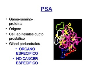 PSA
• Gama-semino-Gama-semino-
proteínaproteína
• Origen:Origen:
• Cél. epIiteliales ductoCél. epIiteliales ducto
prostáticoprostático
• Glánd periuretralesGlánd periuretrales
• ORGANOORGANO
ESPECIFICOESPECIFICO
• NO CANCERNO CANCER
ESPECIFICOESPECIFICO
 
