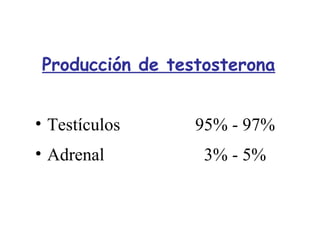 Producción de testosterona
• Testículos 95% - 97%
• Adrenal 3% - 5%
 