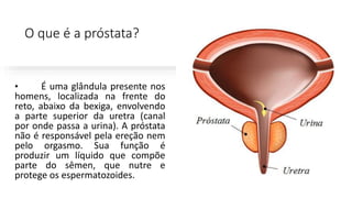 O que é a próstata?
• É uma glândula presente nos
homens, localizada na frente do
reto, abaixo da bexiga, envolvendo
a parte superior da uretra (canal
por onde passa a urina). A próstata
não é responsável pela ereção nem
pelo orgasmo. Sua função é
produzir um líquido que compõe
parte do sêmen, que nutre e
protege os espermatozoides.
 