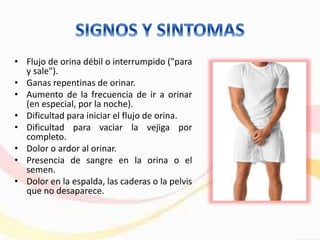 • Flujo de orina débil o interrumpido ("para
y sale").
• Ganas repentinas de orinar.
• Aumento de la frecuencia de ir a orinar
(en especial, por la noche).
• Dificultad para iniciar el flujo de orina.
• Dificultad para vaciar la vejiga por
completo.
• Dolor o ardor al orinar.
• Presencia de sangre en la orina o el
semen.
• Dolor en la espalda, las caderas o la pelvis
que no desaparece.
 