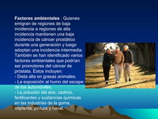 Factores ambientales : Quienes
emigran de regiones de baja
incidencia a regiones de alta
incidencia mantienen una baja
incidencia de cáncer prostático
durante una generación y luego
adoptan una incidencia intermedia.
También se han identificado varios
factores ambientales que podrían
ser promotores del cáncer de
próstata. Éstos incluyen:
- Dieta alta en grasas animales.
- La exposición al humo del escape
de los automóviles.
- La polución del aire, cadmio,
fertilizantes y sustancias químicas
en las industrias de la goma,
imprenta, pintura y naval.
 