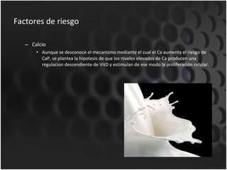Factores de riesgo Calcio Aunque se desconoce el mecanismo mediante el cual el Ca aumenta el riesgo de CaP, se plantea la hipotesis de que los niveles elevados de Ca producen una regulacion descendiente de VitD y estimulan de ese modo la proliferación celular. 