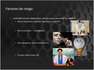 Factores de riesgo Actividad sexual, tabaquismo, altura y peso, consumo de alcohol… Mayor exposicion a agentes infecciosos como VPH Peor pronostico… + andrógenos Mas estrogenos, menos testosterona A mayor altura mayor IGF 