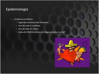 Epidemiología Incidencia en México Segunda neoplasia mas frecuente Uno de cada 6 lo padece Uno de cada 32 muere Cada año 9650 hombres son diagnosticados con CaP 