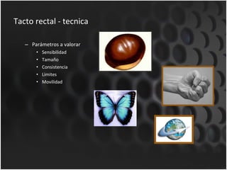 Tacto rectal - tecnica Parámetros a valorar Sensibilidad Tamaño Consistencia Limites Movilidad 