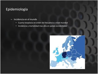 Epidemiología Incidencia en el mundo Cuarta neoplasia en orden de frecuencia a nivel mundial Incidencia y mortalidad mas alta en países occidentales 