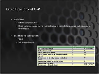 Estadificación del CaP Objetivos Establecer pronóstico Elegir tratamiento en forma racional sobre la base de la supuesta extensión de la enfermedad Sistemas de clasificación TNM Withmore-Jewett 