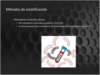 Métodos de estatificación Marcadores tumorales séricos Dos marcadores tumorales prostáticos, FPA y PSA Se han empleado como indicadores de la extensión de la enfermedad en el CaP 