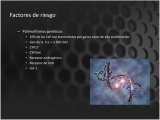 Factores de riesgo Polimorfismos genéticos 10% de los CaP son transmitidos por genes raros de alta proliferación. Gen de la  5  α  -r y SRD 5A2  CYP17 CYP3A4 Receptor androgénico Receptor de VitD IGF-1 